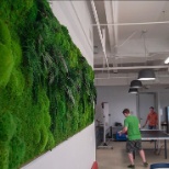 Living wall in the cafeteria in our Richmond, VA office