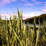 Camp Echo Lake Waterfront