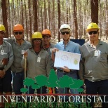 Inventário Florestal