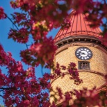 clock tower