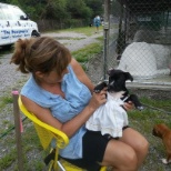 Pups out for a run in summer with a volunteer