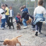 School kids checking out what we do!