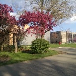 Springtime view of the Kenyon College campus