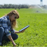 soil checks