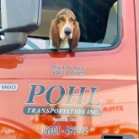 We love our 4 legged co-pilots!