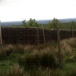 Building a temporary deer fence up on the mores to prevent the deer getting out of the estate.