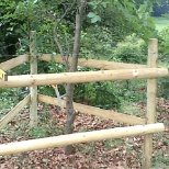 Building a tree guard to prevent the deer ruining the smaller saplings.