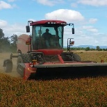 Versatile Case IH Rotary Windrower