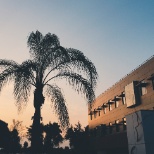 Biola at Sunset