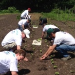 Community Garden