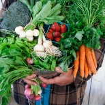 Summer CSA bounty of veggies! JOIN TODAY! www.lancasterfarmfresh.com