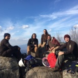 At the top of Flattop trail, off the blue ridge parkway.