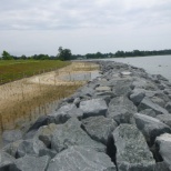 Belle Island Restoration Project