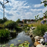 Wellness Garden