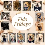 Fido Fridays at the Corporate Office