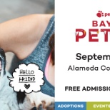 Our annual Bay Area Pet Fair has arrived! Join us tomorrow from 10am-5pm.