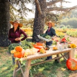 Our Hacienda Garden team manages 1.5 acres fresh produce, going straight into our 2 restaurants.