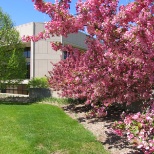 Spring at Washtenaw Community College