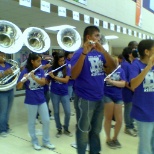 Tubas & Piccs