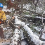 Placer Corpsmember Laurie Keaton using a chainsaw to clear fallen trees