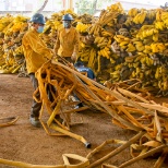 Los Angeles Corpsmembers Untangle a Mountain of Fire Hose