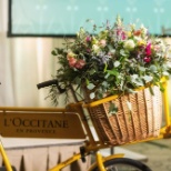 L'Occitane Flower Display