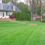 Lawn Maintenance