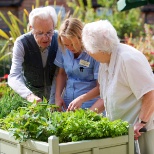 Woodley Grange - Planters