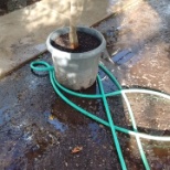 One time my hose got tangled up around this pot