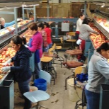 employees sorting apples