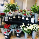 Happy Valentines Day from TTM in Manchester where we have been able to make up bunches of fresh rose