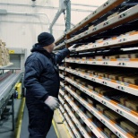 Distribution Center - Freezer Department