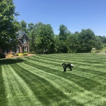 Lawn maintained by Paradise Landscaping 