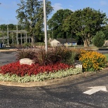 Landscaping completed for commercial client. 