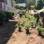 Flower bed installation. 