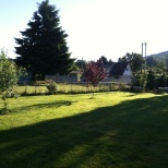 View from house Forks, WA