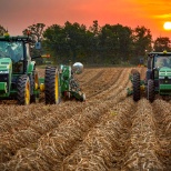 Sunset on the Farm