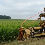 Setting cable with plow