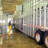 washing the inside of a cattle trailer :(