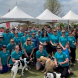 Southern Veterinary Partners