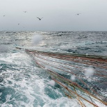 Wild Alaskan Pollock Fishing