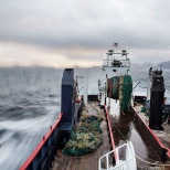 Alaskan Pollock Fishing