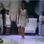Modeling for the Aromatics in White Launch in Feb 2015