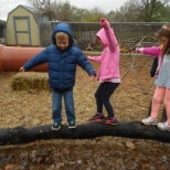 Our balance beam is a tree branch giving children a challenge and developing their balance!