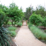 Austin Walking Path