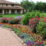 Austin Landscape