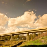 Bridge Project located in Collins, MS