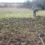 Helping to till the grounds of Jackson Farms