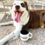 Leo loves his new Teradata mug! You can get one, too! Join us for great swag and exciting jobs!