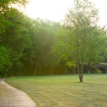 Nature Area on Campus